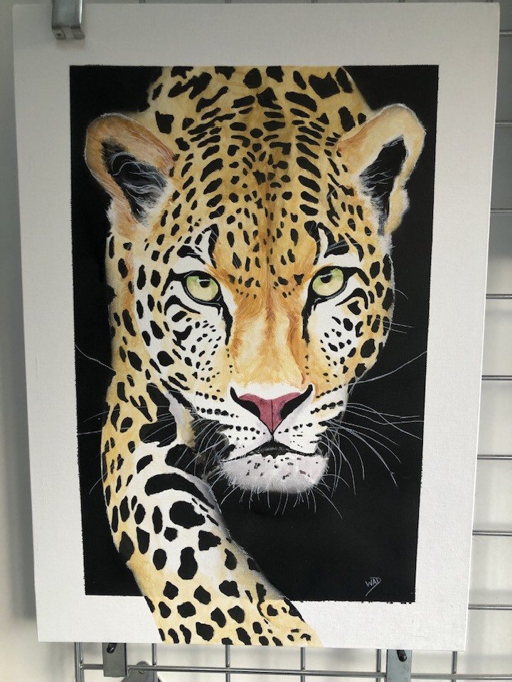 Leopard