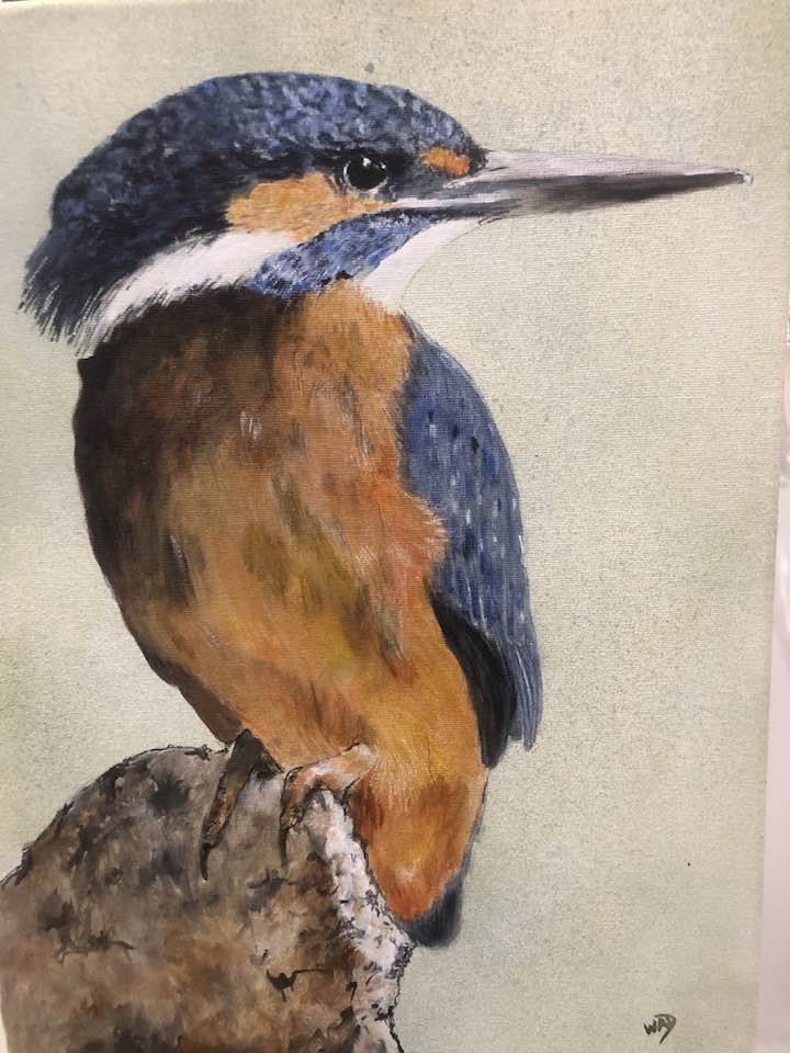 Kingfisher